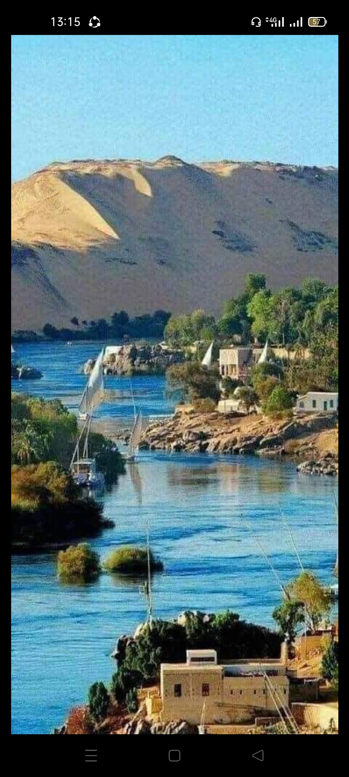 معلمه لغه عربيه 